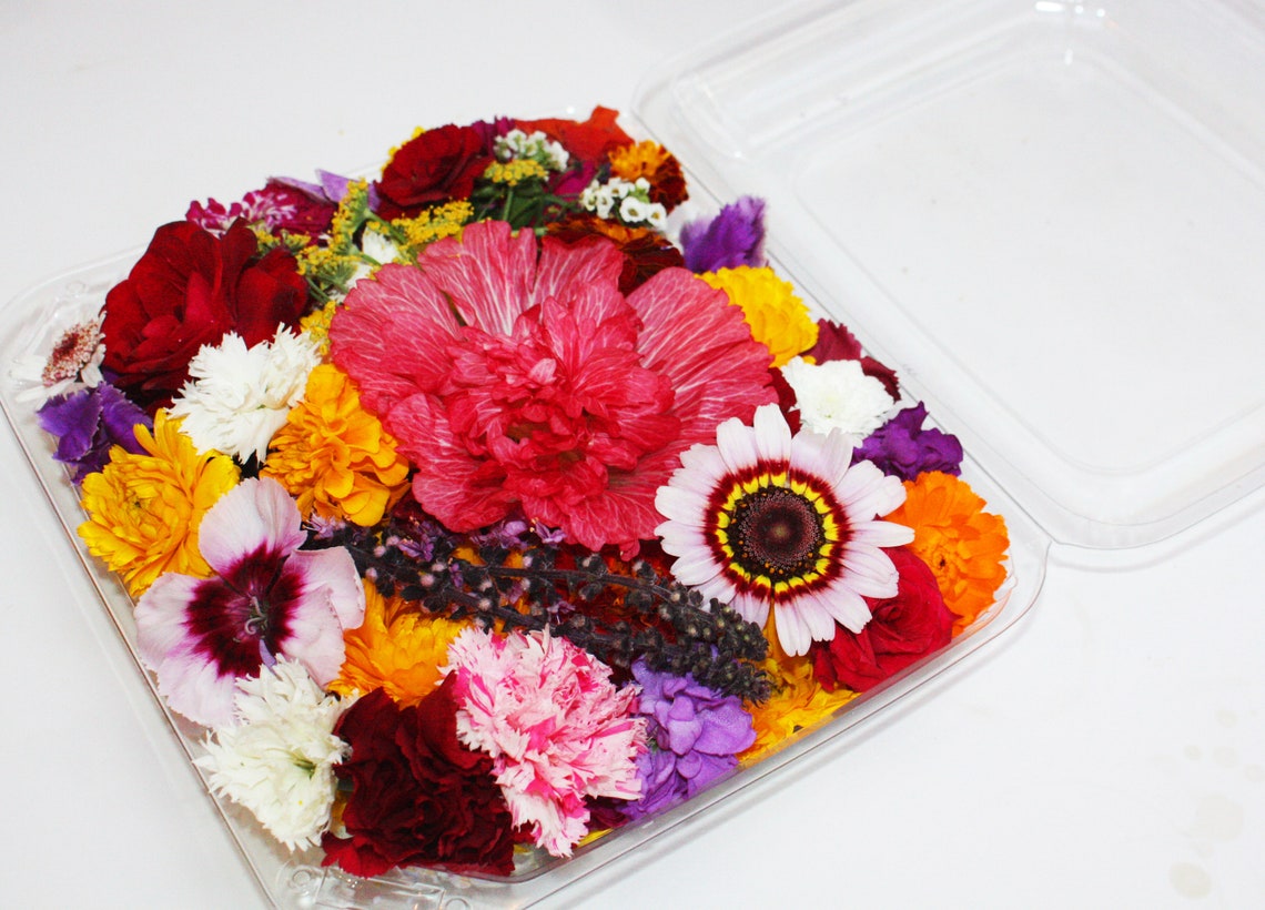 Edible Flowers Premium Assortment Etsy