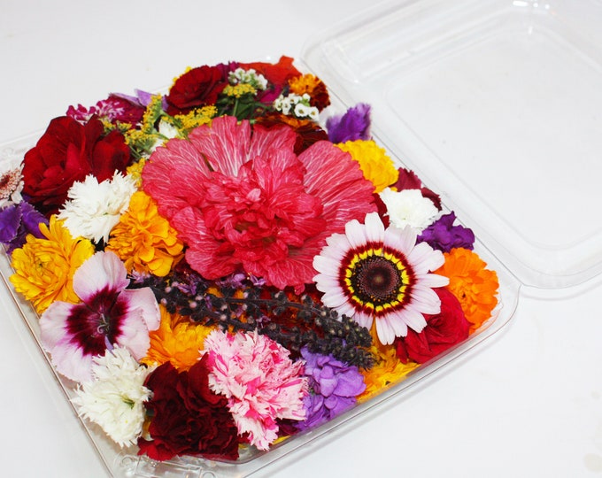 Pressed Flowers for Cakes, Edible Flowers for Cake Decoration, Pressed Meadow Flowers, Side