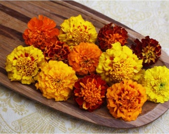 Fresh Edible Flowers Marigold 50 Ct