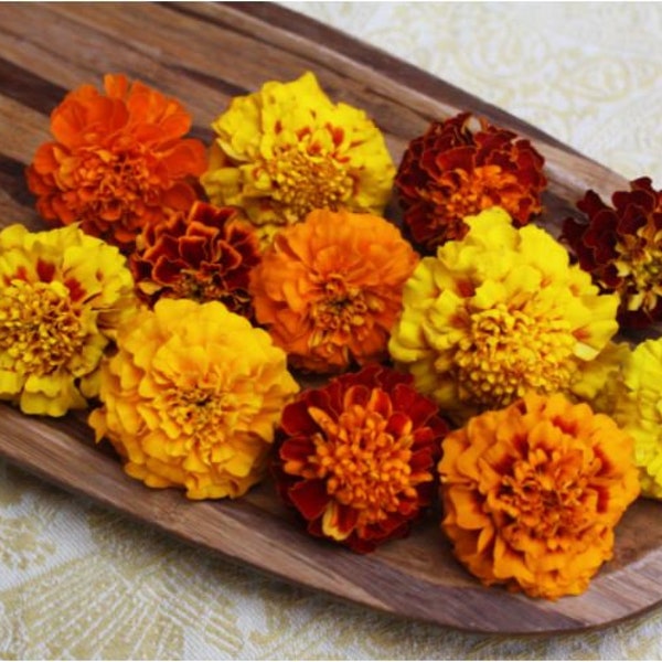 Fresh Edible Flowers Marigold 50 Ct