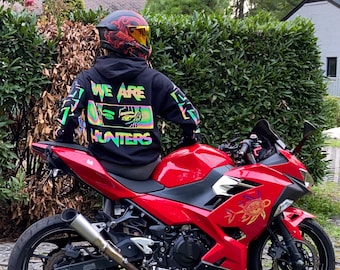 Rumi Rainbow Reflective Hoodie