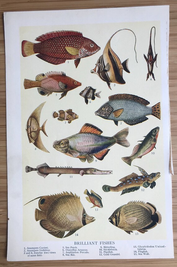 Download Strandhaus wandkunst Free HD Strandhaus Wandkunst