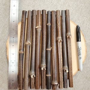 1.2 - 1.4 cm dia, approx 9&quot; Black Bamboo pieces, qty: 10