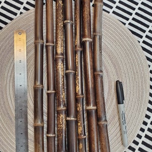 Variety Black Bamboo pieces, &quot;knobbies&quot;, qty: 7