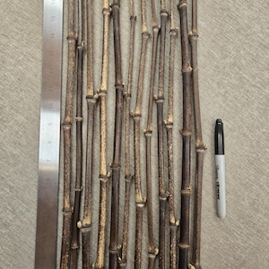 May include: A collection of eleven dark brown bamboo stalks arranged vertically, ranging in length from approximately 15 to 18 inches as indicated by the metal ruler placed along the left side and bottom edge, alongside a black Sharpie marker.