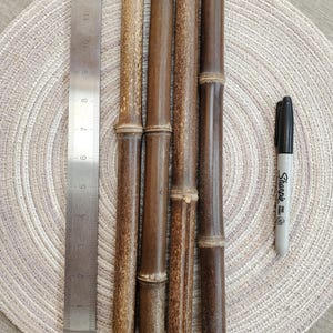 1.8 - 2.1 cm dia, Black Bamboo approx 12-inch pieces, Qty: 4