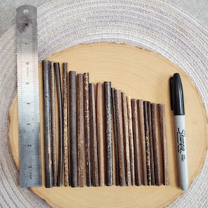 Assorted short, thin hollow Black Bamboo pieces, Qty: 20