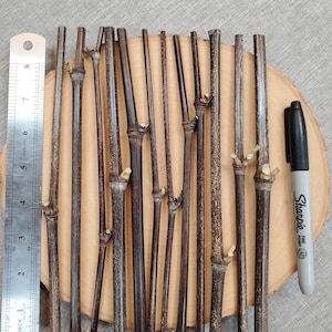 9&quot; Black Bamboo pieces, qty: 12, various thin diameters