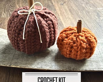 Crochet Pumpkin Kit, Beginner Friendly Autumn Decor (Set of 2)