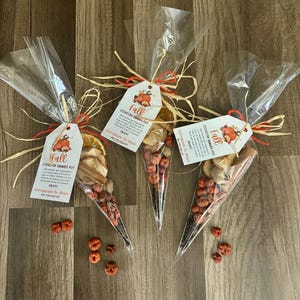 May include: Three clear cone-shaped plastic bags filled with dried orange slices, cinnamon sticks, and small orange pumpkin-shaped items. Each bag has a white tag tied with red string and raffia, labeled Fall Stovetop Simmer Pot.