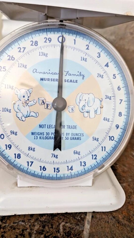 Vintage American Family Nursery Scale - Etsy