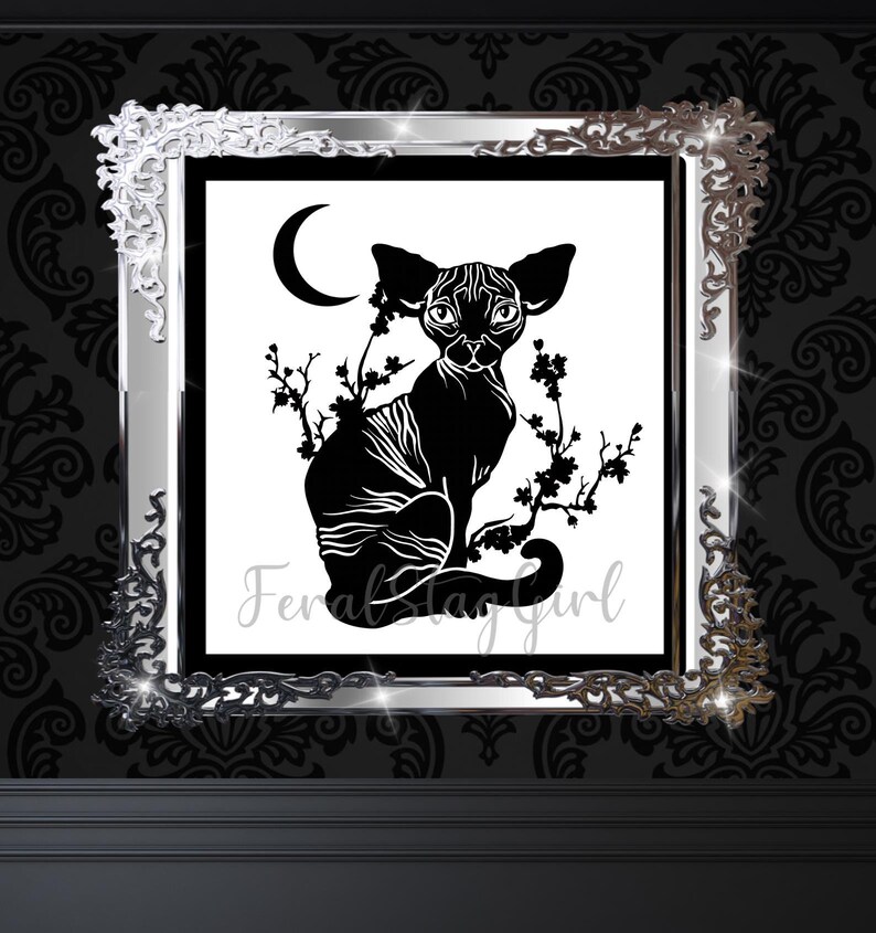 Pu&ograve; includere: Silhouette in bianco e nero di un gatto senza pelo seduto su un albero con una luna crescente sullo sfondo. L'immagine &egrave; incorniciata in una cornice argentata ornata.