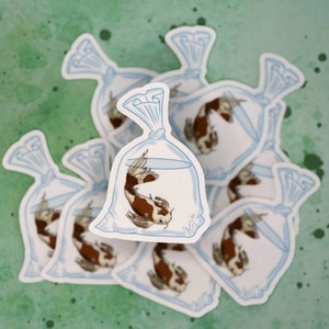 Clear Koi fish sticker