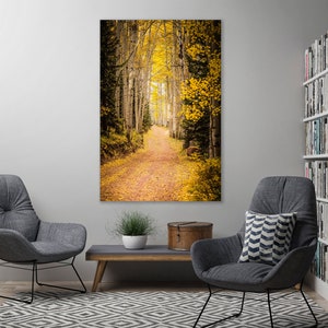 Golden Roads - Aspen Colorado Fall Colors Fine Art Photography (Metal & Bamboo Prints)