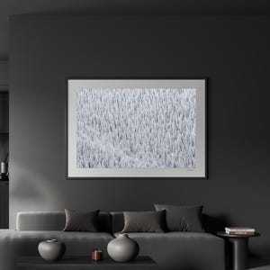 Snowy Trees - Aspen Colorado Winter Fine Art Photography (Metal & Bamboo Prints)