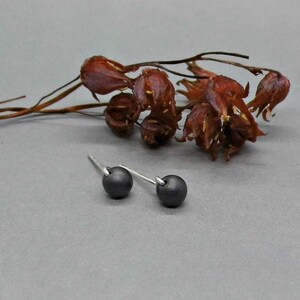 Könnte beinhalten: Ein Paar kleine schwarze Ohrstecker mit silbernen Stiften. Die Ohrringe sind rund und haben eine matte Oberfläche.