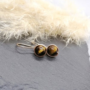 Tigereye Earrings, goldfilled image 4