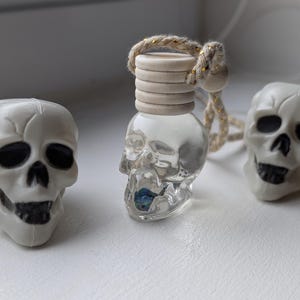 May include: Three skull-themed decorative items. Two white plastic skulls with black eye sockets and a black nose cavity. A clear glass skull-shaped bottle with a wooden cap and a rope for hanging.