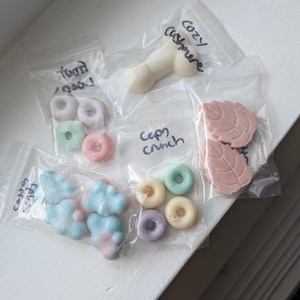 May include: Assortment of wax melts in various shapes and colors, including donuts, leaves, and cloud shapes, packaged in clear plastic bags. The bags are labeled with handwritten text, such as "Cozy Cashmere" and "Cepy Crunch".