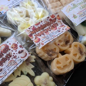 Op de afbeelding: Verschillende doorzichtige plastic zakjes met sojawas-melts in diverse vormen, waaronder pompoenen, bladeren en wolken. Elk zakje is voorzien van een label met tekst en veiligheidsinstructies voor het gebruik van de geurblokjes.