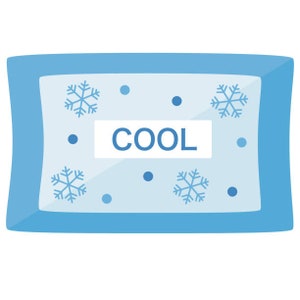 SHIPPING ADD ON + Summer Shipping Option with Ice Pack and Extra Packing