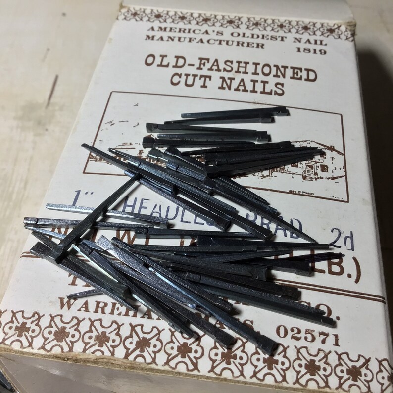 50 OldFashioned Tremont Cut Nails 1 Headless Brads Etsy