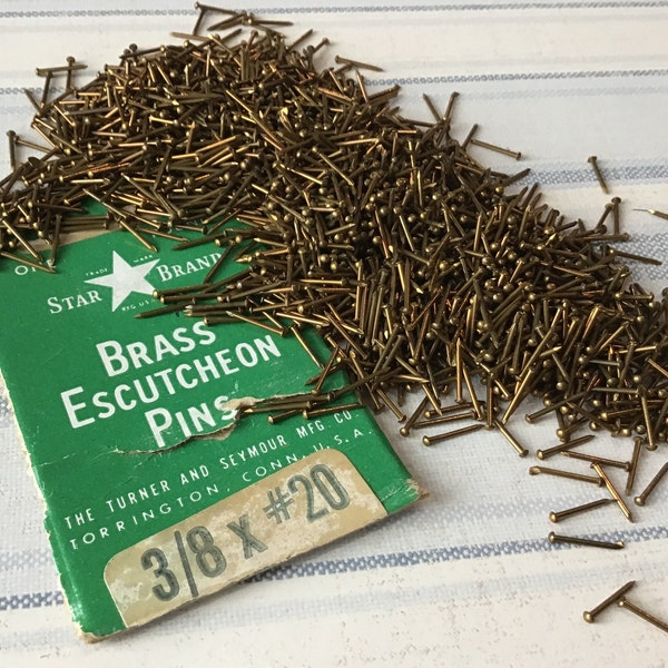 50 Tiny Brass Nails, Escutcheon Pins
