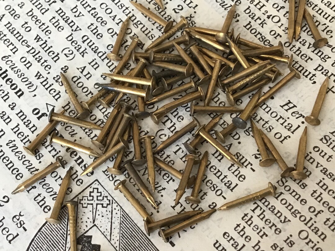 Tiny Brass Nails