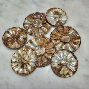May include: A collection of six circular metal tart molds featuring a fluted, scalloped edge design. Each mold displays a weathered, silver-toned finish with significant brown rust oxidation concentrated along the ridges and the center.