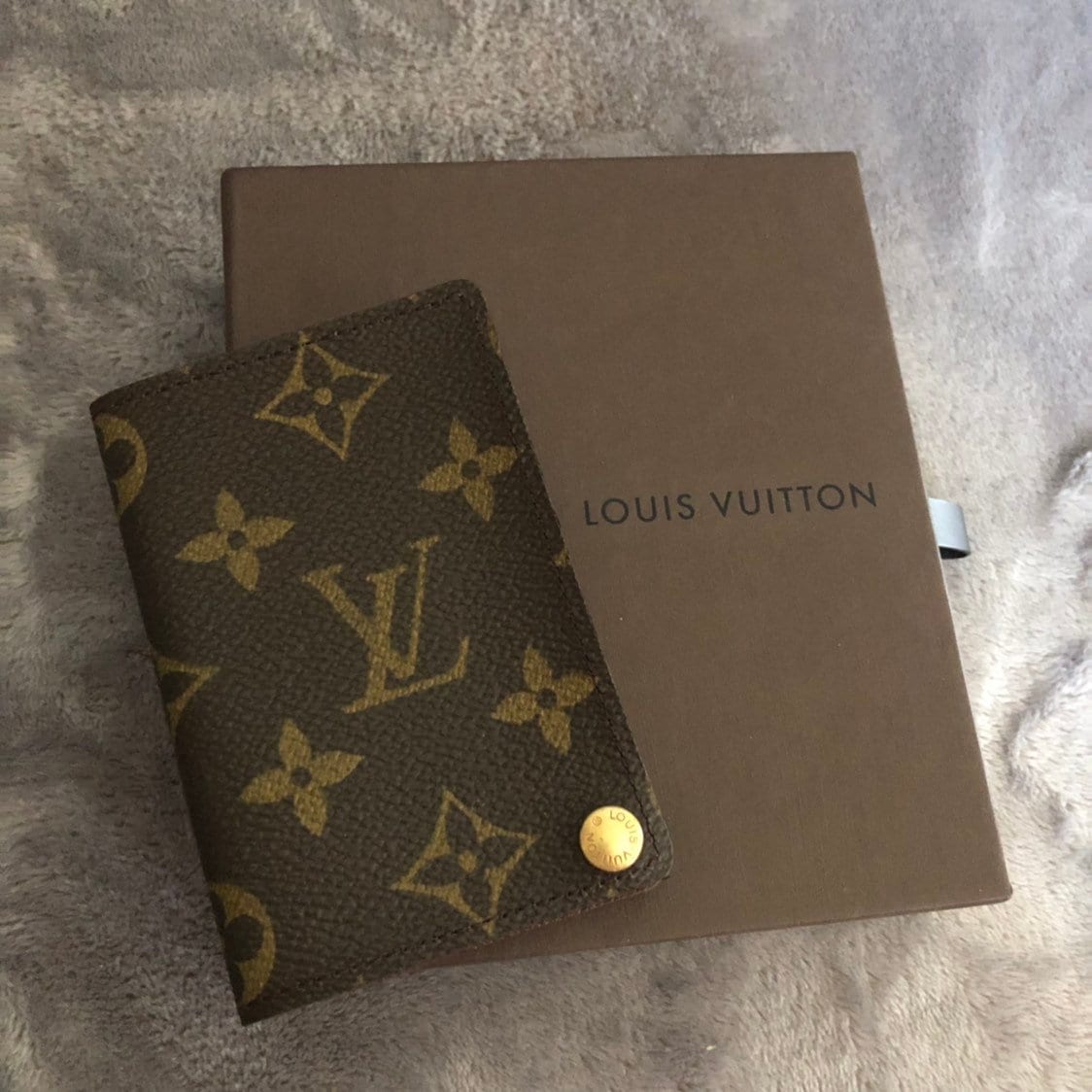 Louis Vuitton card holder with plastic sleeves