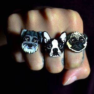 Custom Pet rings