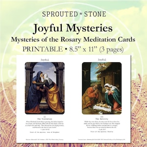 De vreugdevolle mysteries (mysteries van de rozenkrans-meditatiekaarten)