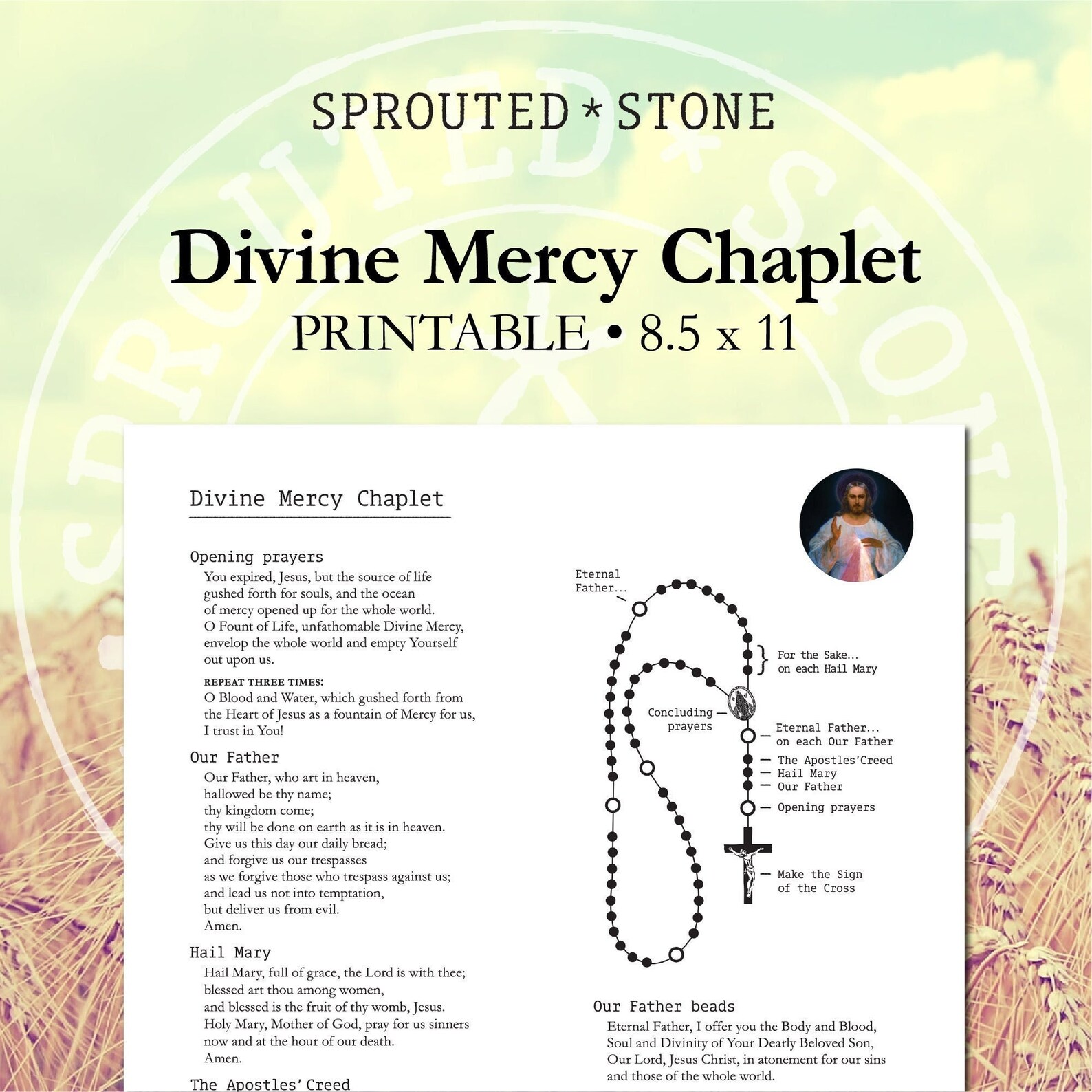 How to Pray the Divine Mercy Chaplet Printable Etsy