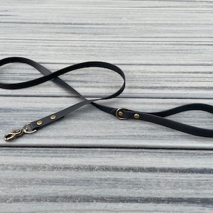 Custom Single Tone Standard Dog Leash - Biothane - Waterproof - Dog Gear