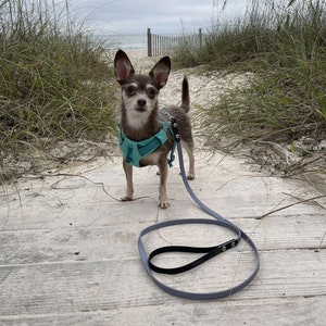 MINI Standard Hundeleine - 1/2 &quot;Breit - Biothane - Wasserdicht - Individuell - Hundeausrüstung