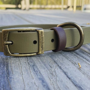 Custom Buckle Collar - Dog - Biothane - Single Tone - Adjustable - Optional Tab