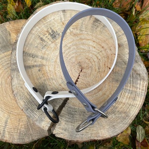 Dog Slip Collar - Custom - 3/4&quot; Wide OR 1&quot; Wide - Biothane - Waterproof
