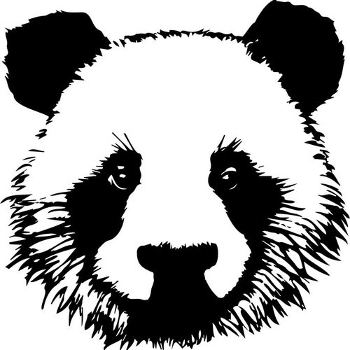 Panda Bear SVG / Panda Svg / Bear Svg / Cute Panda Svg / Cut - Etsy