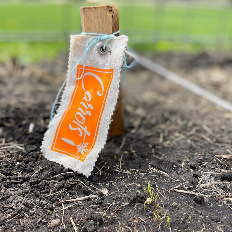 Veggie Garden Tags SVG cut files 22 veggie graphic pack Etsy