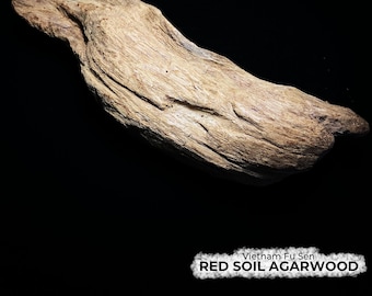 Red Soil Agarwood Piece from Vietnam Fu Sen, 128g