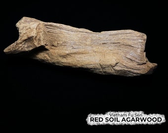 Red Soil Agarwood Piece from Vietnam Fu Sen, 87g