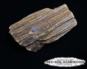 100% Sinking Red Soil Agarwood Piece from Vietnam Fu Sen, 22.8g