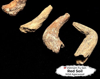 Red Soil Agarwood Collection Grade Pieces from Vietnam Fu Sen