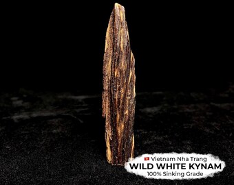 100% Sinking Grade Wild White Kynam Piece from Vietnam Nha Trang, 4.7g
