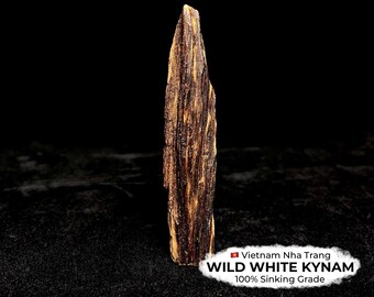 100% Sinking Grade Wild White Kynam Piece from Vietnam Nha Trang, 4.78g