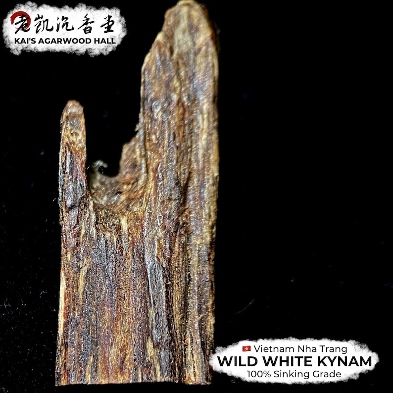 100% Sinking Grade Wild White Kynam Pieces From Vietnam Nha Trang - Etsy