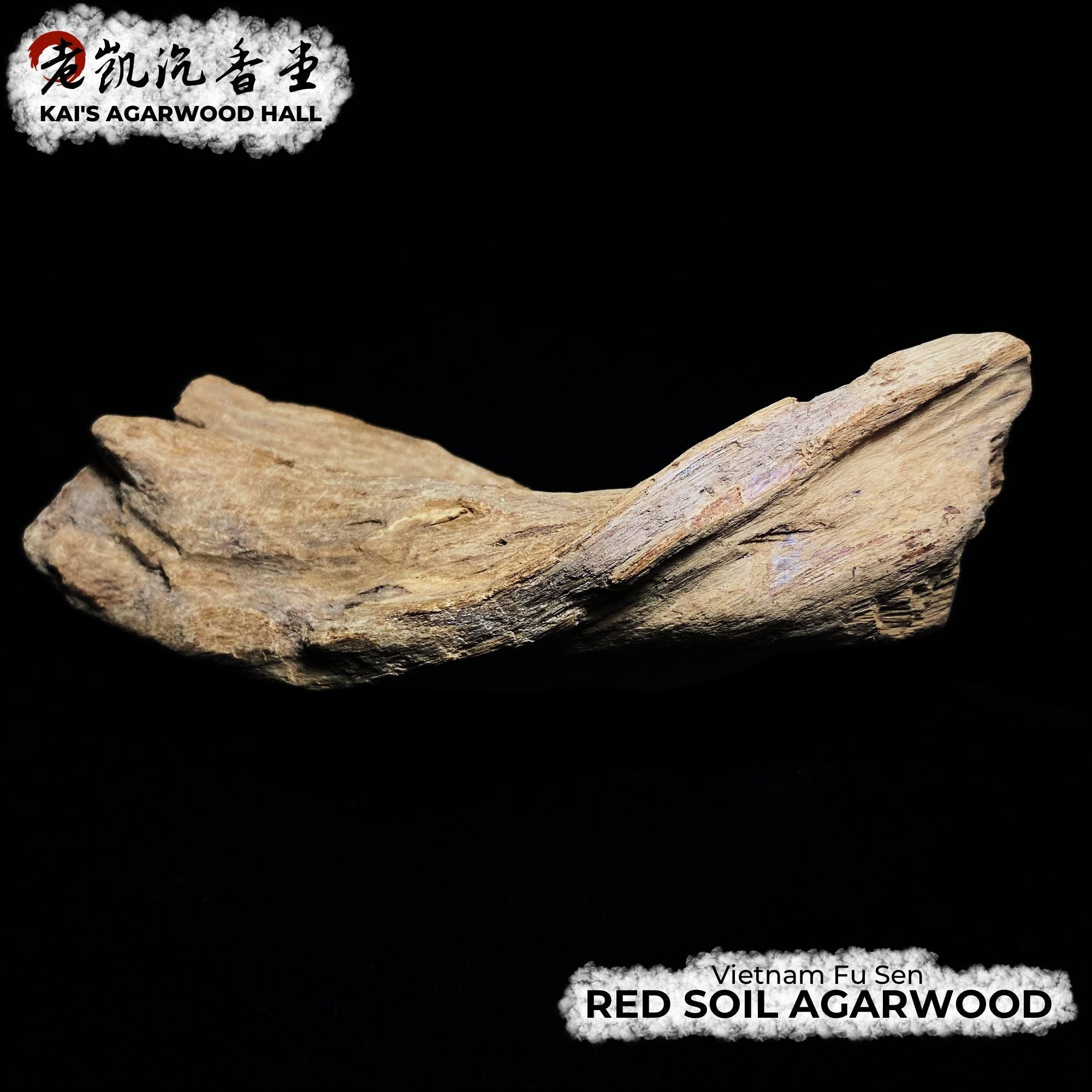 Red Soil Agarwood Piece from Vietnam Fu Sen, 69g