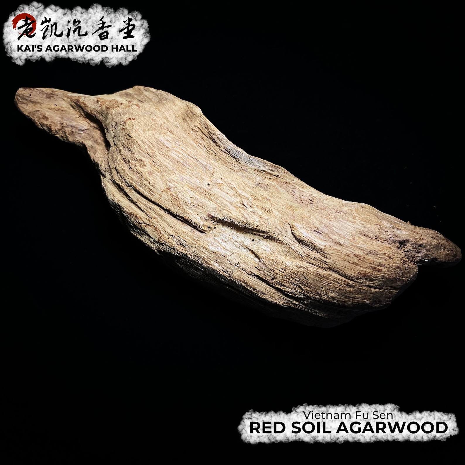 Investment Guide: Collecting Rare Agarwood as an Alternative Asset