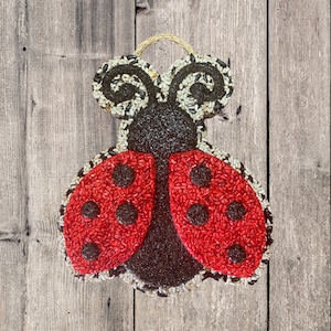 Bird Seed Wreath Holiday Valentine Bird Feeder Hanging Bird Feeder Bird Watching Gift Nature Lovers Gift Bird Food Bird Ornament