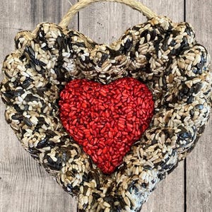Bird Seed Wreath Holiday Valentine Bird Feeder Hanging Bird Feeder Bird Watching Gift Nature Lovers Gift Bird Food Bird Ornament